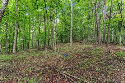 0 Lewis Grindle Road, Dahlonega, GA 30533 - Photo 21