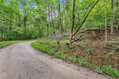 0 Lewis Grindle Road, Dahlonega, GA 30533 - Photo 17