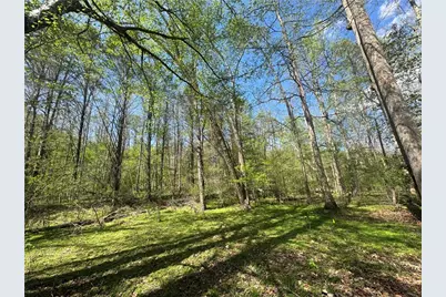 0 Lewis Grindle Road, Dahlonega, GA 30533 - Photo 9