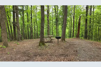 0 Pleasant Hill Trail, Ellijay, GA 30540 - Photo 19