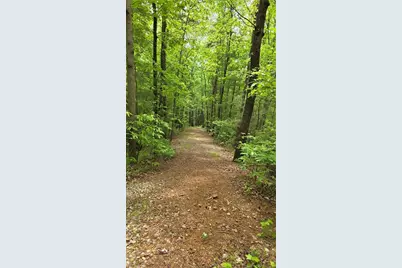 0 Pleasant Hill Trail, Ellijay, GA 30540 - Photo 11