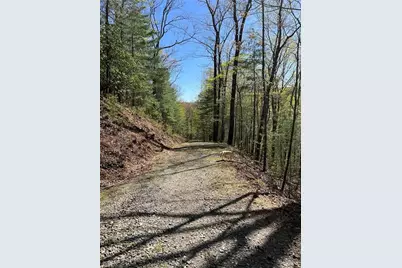 0 Pleasant Hill Trail, Ellijay, GA 30540 - Photo 21