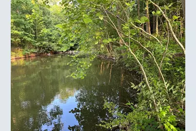 Lot 5 County Road 520, Centre, AL 35960 - Photo 3
