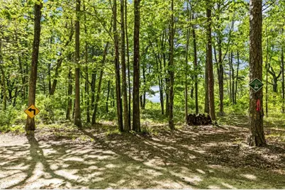 0 Neals Brow Road, Menlo, GA 30731 - Photo 5