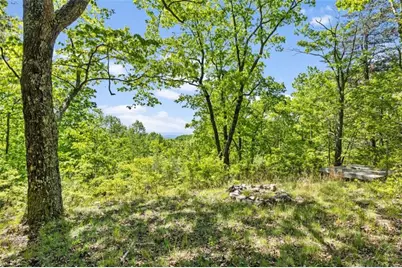 0 Neals Brow Road, Menlo, GA 30731 - Photo 7