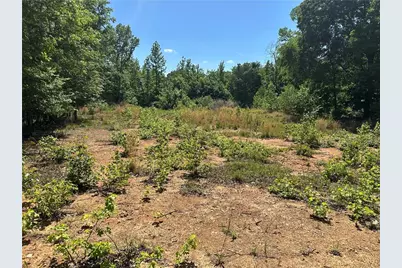 127 Sam Sutton Road NW, Adairsville, GA 30103 - Photo 9