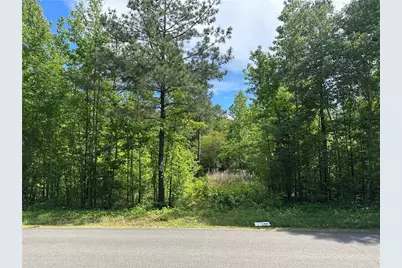 127 Sam Sutton Road NW, Adairsville, GA 30103 - Photo 1
