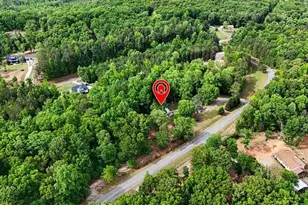 650 N Raburn Road N, Bremen, GA 30110 - Photo 43