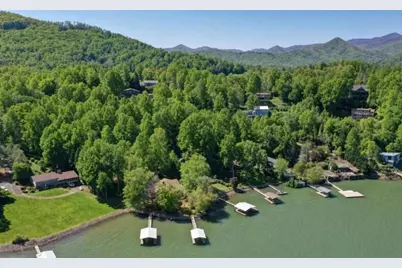313 Omega Way, Hiawassee, GA 30546 - Photo 59