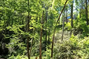 106 Nimblewill Overlook, Dahlonega, GA 30533 - Photo 37