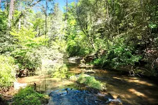 106 Nimblewill Overlook, Dahlonega, GA 30533 - Photo 51