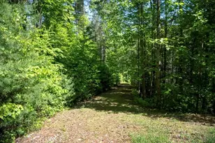 106 Nimblewill Overlook, Dahlonega, GA 30533 - Photo 33