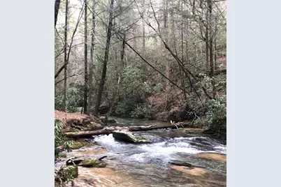 106 Nimblewill Overlook, Dahlonega, GA 30533 - Photo 43