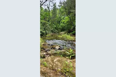 106 Nimblewill Overlook, Dahlonega, GA 30533 - Photo 43