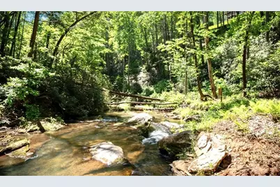 106 Nimblewill Overlook, Dahlonega, GA 30533 - Photo 33