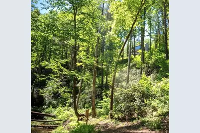 106 Nimblewill Overlook, Dahlonega, GA 30533 - Photo 49