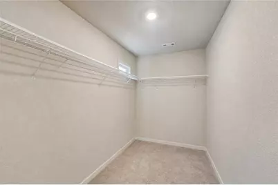 10933 Wheeler Trace, Hampton, GA 30228 - Photo 15