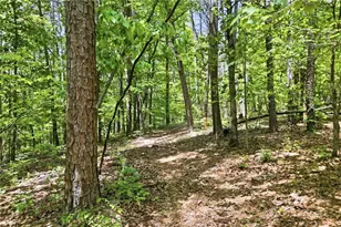 1709 Harrington Rd, Ball Ground, GA 30107 - Photo 43