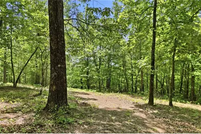 1709 Harrington Road, Ball Ground, GA 30107 - Photo 45