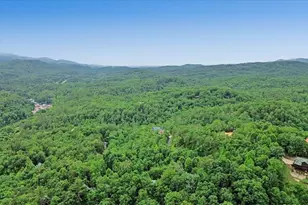 375 S Dream Catcher, Blue Ridge, GA 30513 - Photo 49