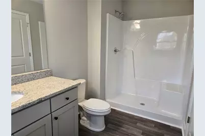 2978 Cannon Bridge Road, Demorest, GA 30535 - Photo 29