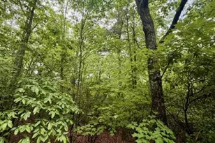 00 Soaring Hawk Trail, Cleveland, GA 30528 - Photo 7