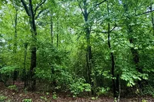 00 Soaring Hawk Trail, Cleveland, GA 30528 - Photo 5