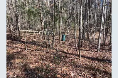 8 Cameron Point, Cleveland, GA 30528 - Photo 3