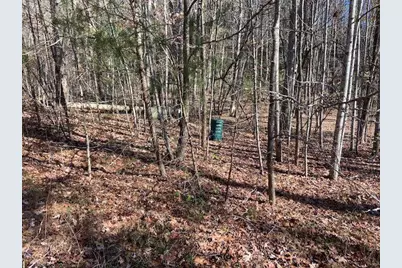 8 Cameron Point, Cleveland, GA 30528 - Photo 3