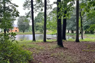 4190 Beaver Rd, Loganville, GA 30052 - Photo 67