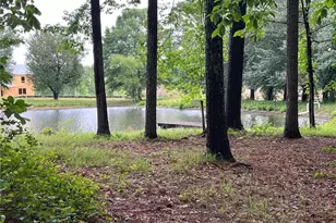 4190 Beaver Rd, Loganville, GA 30052 - Photo 79