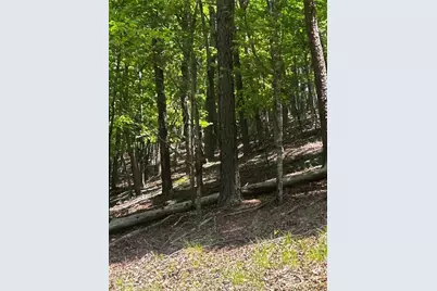 381 Hillside Drive, Waleska, GA 30183 - Photo 3