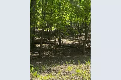 381 Hillside Drive, Waleska, GA 30183 - Photo 5