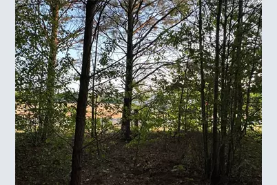 Lot 7 County Road 520, Centre, AL 35960 - Photo 9