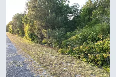 Lot 7 County Road 520, Centre, AL 35960 - Photo 1