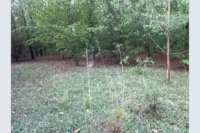 Lot 7 County Road 520, Centre, AL 35960 - Photo 7