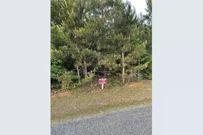 Lot 8 County Road 520, Centre, AL 35960 - Photo 3
