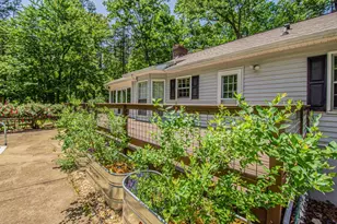 429 Buckhorn Tavern Rd, Dahlonega, GA 30533 - Photo 17