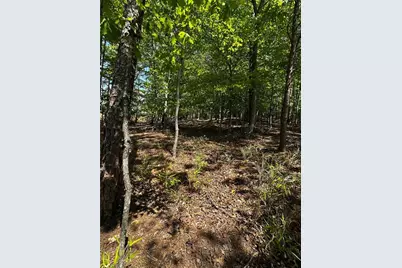 5953 Grand Marina Circle, Gainesville, GA 30506 - Photo 17