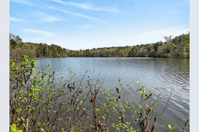 955 Mocassin Gap Road, Locust Grove, GA 30248 - Photo 49