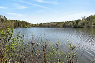 955 Mocassin Gap Rd, Locust Grove, GA 30248 - Photo 49