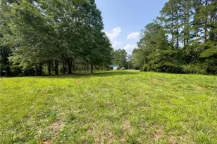 0 Howard, Senoia, GA 30276 - Photo 3