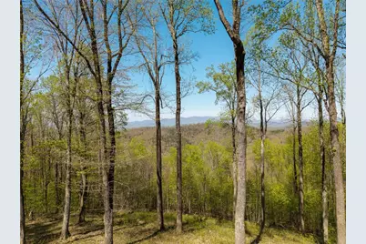 245 Smokerise Court, Ellijay, GA 30536 - Photo 15