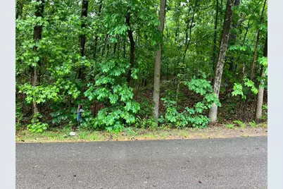 0 Lake Club Drive, Lavonia, GA 30553 - Photo 7