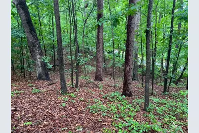 0 Lake Club Drive, Lavonia, GA 30553 - Photo 5