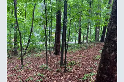 0 Lake Club Drive, Lavonia, GA 30553 - Photo 1