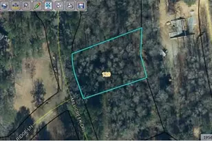 0 Mill Creek Dr, Tallapoosa, GA 30176 - Photo 1