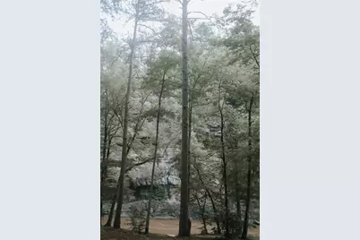 85 Hunter Drive, Talking Rock, GA 30175 - Photo 57