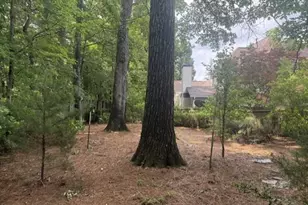 2738 Twin Leaf Trail, Marietta, GA 30062 - Photo 61