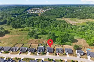 675 River Mist Cir, Jefferson, GA 30549 - Photo 43